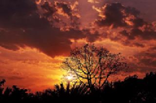 When do you rain? : | बरसणार कधी? : When do you rain? : | बरसणार कधी? :