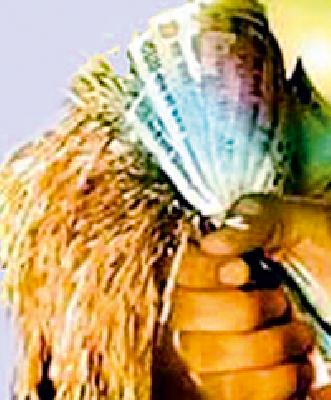 290 crore loan to 28 thousand farmers | २८ हजार शेतकऱ्यांना २९० कोटींचे कर्ज