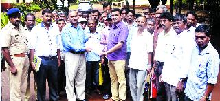 Arrange wild elephants | हेवाळेतील हत्तींचा बंदोबस्त करा Arrange wild elephants | हेवाळेतील हत्तींचा बंदोबस्त करा