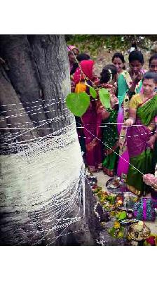 Wishing her long life for her husband | वटपूजनाने पतीच्या दीर्घायुष्याची कामना Wishing her long life for her husband | वटपूजनाने पतीच्या दीर्घायुष्याची कामना