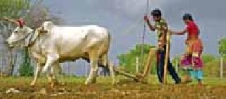 Water is questioned if the rain is too long | पाऊस लांबला तर पाणी प्रश्न पेटणार