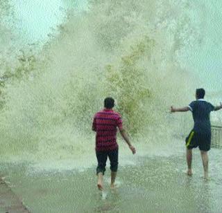 101 mm rain in the downtown area | तळा शहरात १०९ मिलीमीटर पाऊस 101 mm rain in the downtown area | तळा शहरात १०९ मिलीमीटर पाऊस