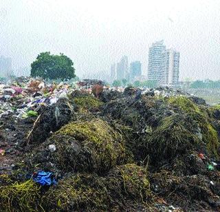 Unauthorized dumping ground in Kharghar | खारघरमध्ये अनधिकृत डम्पिंग ग्राऊंड