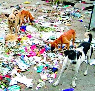 Gallgli terrorist | गल्लोगल्लीचे दहशतवादी Gallgli terrorist | गल्लोगल्लीचे दहशतवादी