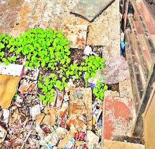 Indapur Bus Station Problems 'Depot' | इंदापूर बसस्थानक समस्यांचे ‘आगार’