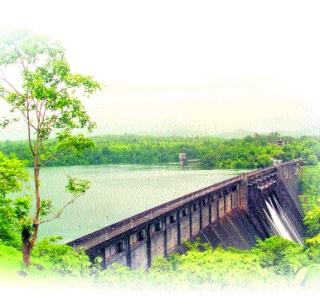 There is no rain in the lake area | तलाव क्षेत्रात पाऊस पडलाच नाही There is no rain in the lake area | तलाव क्षेत्रात पाऊस पडलाच नाही