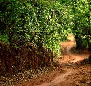 Rain, trekking, etc. | पाऊस, ट्रेकिंग, इत्यादी.. Rain, trekking, etc. | पाऊस, ट्रेकिंग, इत्यादी..