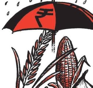 'Watch' on crop loan distribution | पीक कर्ज वितरणावर ‘वॉच’ 'Watch' on crop loan distribution | पीक कर्ज वितरणावर ‘वॉच’