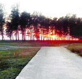 MPs in the increase | वाढवणप्रकरणी खासदारांची गोची MPs in the increase | वाढवणप्रकरणी खासदारांची गोची