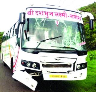 The collapsed tree on the highway | महामार्गावर कोसळले झाड