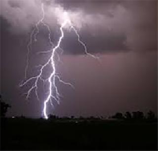 Electricity in Shahada taluka falls to 37 sheep | शहादा तालुक्यात वीज पडून ३७ मेंढ्या ठार Electricity in Shahada taluka falls to 37 sheep | शहादा तालुक्यात वीज पडून ३७ मेंढ्या ठार