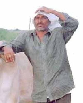 The victims of the black mother's poison | काळ्या आईची ओटी भरण्यास बळीराजा आतूर The victims of the black mother's poison | काळ्या आईची ओटी भरण्यास बळीराजा आतूर