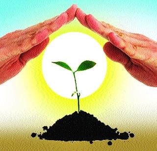 Farming needs full insurance coverage at government expense | सरकारी खर्चाने शेतीला संपूर्ण विमा संरक्षण गरजेचे