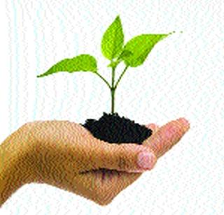 In the next three years, 40 million trees will be planted | तीन वर्षांत ४० कोटी वृक्ष लावणार