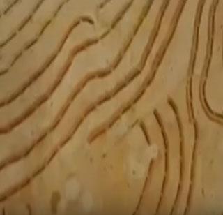 In Nagpur, on the hills to fight water | नागपूरमध्ये पाणी अडविण्यासाठी टेकड्यांवर चरी In Nagpur, on the hills to fight water | नागपूरमध्ये पाणी अडविण्यासाठी टेकड्यांवर चरी