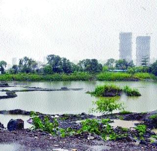 Fill in the Khutari village pond | खुटारी गावातील तलावात भराव