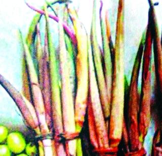 Demand in shawlal | रानभाज्यांत शेवळीला डिमांड