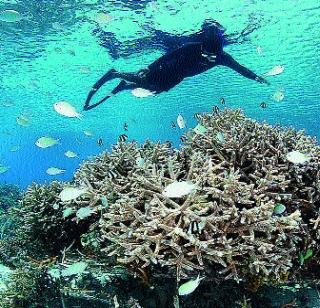 Shampoo and soap | शाम्पू आणि साबण Shampoo and soap | शाम्पू आणि साबण