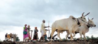 Average rainfall exceeded in district | जिल्ह्यात पावसाने ओलांडली सरासरी