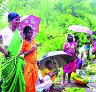 Rainbows started extinction? | रानभाज्या होऊ लागल्या नामशेष?