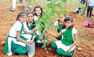 Long-time plantation of the district | जिल्हाभर वृक्षारोपणाची लगबग Long-time plantation of the district | जिल्हाभर वृक्षारोपणाची लगबग