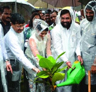 Compilations on the tree with trees | वृक्षलागवडीसोबत संगोपनावर भर