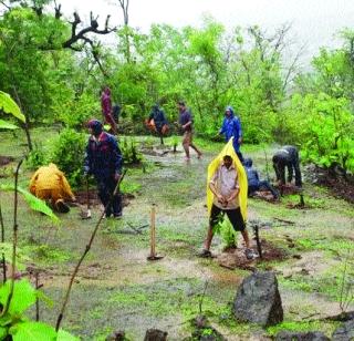 Stay alert for the ropes | संगोपनासाठी सजग रहा