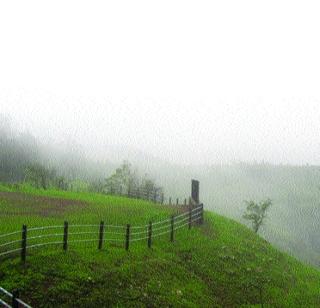 Nature Trees of Nature | निसर्गसौंदर्याची तोरणमाळ