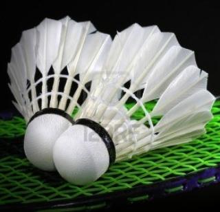 Ajay, Pranay in the quarter-finals | अजय, प्रणय उपांत्यपूर्व फेरीत Ajay, Pranay in the quarter-finals | अजय, प्रणय उपांत्यपूर्व फेरीत