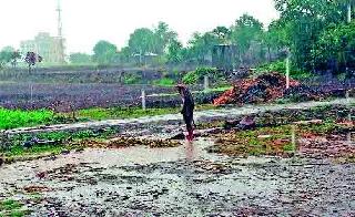 Rainfall of rain in Dindori taluka | दिंडोरी तालुक्यात पावसाची संततधार Rainfall of rain in Dindori taluka | दिंडोरी तालुक्यात पावसाची संततधार