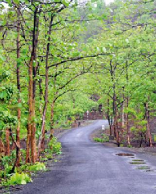 Clipped: | कात टाकली :