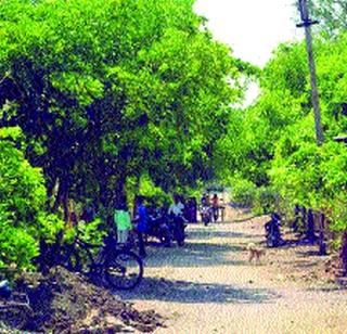 Five colonies green from the people's participation | लोकसहभागातून पाच वसाहती हिरव्यागार Five colonies green from the people's participation | लोकसहभागातून पाच वसाहती हिरव्यागार