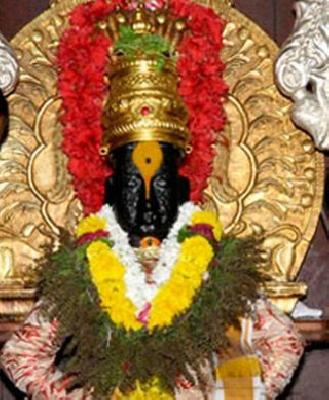 VIDEO - Dog queen Vitthal's darling | VIDEO - विठ्ठलाच्या दर्शनासाठी रांगेत उभा राहणारा कुत्रा