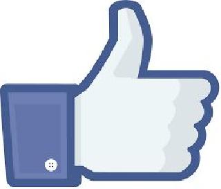 One such Facebook Dindi | अशीही एक फेसबुक दिंडी