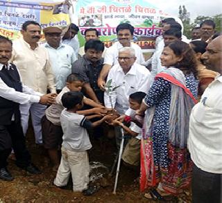 Chitale Group's mobile app for tree conservation | वृक्षसंवर्धनासाठी चितळे समूहाचा मोबाईल अॅप Chitale Group's mobile app for tree conservation | वृक्षसंवर्धनासाठी चितळे समूहाचा मोबाईल अॅप