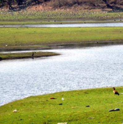 15% water in the den | निळोणात १५ टक्के पाणी 15% water in the den | निळोणात १५ टक्के पाणी