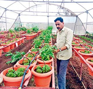 Innovative Farmers Club | अभिनव फार्मर्स क्लब Innovative Farmers Club | अभिनव फार्मर्स क्लब