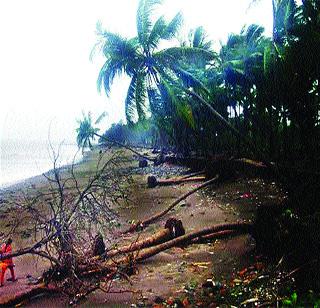 Survivors of Pirwadi Beach | लाटांच्या तडाख्यांनी पीरवाडी बीचची दुरवस्था Survivors of Pirwadi Beach | लाटांच्या तडाख्यांनी पीरवाडी बीचची दुरवस्था