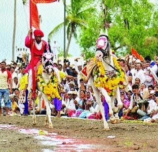 Horse Running RINGNESS, HAL TAL-MEDDANA SOUND | अश्व धावले रिंगणी, झाला टाळ-मृदंगाचा ध्वनी Horse Running RINGNESS, HAL TAL-MEDDANA SOUND | अश्व धावले रिंगणी, झाला टाळ-मृदंगाचा ध्वनी