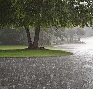 Massive rain in Sangli | सांगलीत मुसळधार पावसाचा धुमाकूळ Massive rain in Sangli | सांगलीत मुसळधार पावसाचा धुमाकूळ