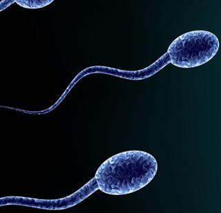 Delhi: 'She asked for the doctor' | दिल्ली : 'तिने' डॉक्टरांकडे मागितले मृत नव-याचे स्पर्म्स Delhi: 'She asked for the doctor' | दिल्ली : 'तिने' डॉक्टरांकडे मागितले मृत नव-याचे स्पर्म्स