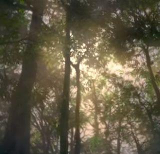 Launch of the Rio Olympics 2016 tournament | रिओ ऑलिंपिक 2016 स्पर्धेचा ट्रेलर लाँच Launch of the Rio Olympics 2016 tournament | रिओ ऑलिंपिक 2016 स्पर्धेचा ट्रेलर लाँच