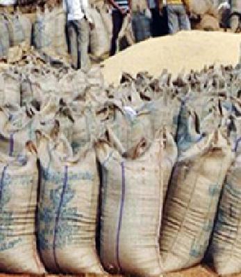 When will the cash punch be given? | धानाचे चुकारे केव्हा मिळणार?