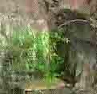 Thousands of hands of the giving ... | देणाऱ्याचे हात हजारो....