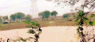 Drain crop is flooded due to diverted for opencast! | ओपनकास्टसाठी नाला वळविल्याने धान पीक पाण्याखाली ! Drain crop is flooded due to diverted for opencast! | ओपनकास्टसाठी नाला वळविल्याने धान पीक पाण्याखाली !