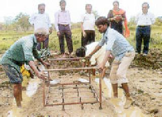 Development of rice cultivation done by 'Suguna' | ्न‘सगुना’ने साधला भात शेतीचा विकास
