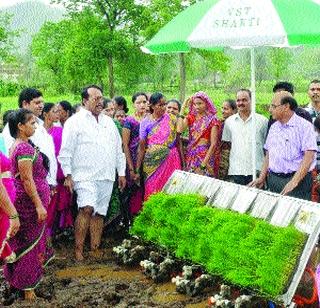 Paddy transplant help | पॅडी ट्रान्सप्लांटरची मदत Paddy transplant help | पॅडी ट्रान्सप्लांटरची मदत