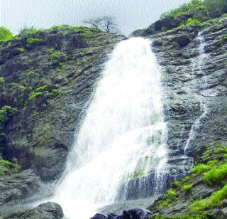 Tungaareshwar can also be used for security | शुल्क घेऊनही तुंगारेश्वरला सुरक्षेची वानवा Tungaareshwar can also be used for security | शुल्क घेऊनही तुंगारेश्वरला सुरक्षेची वानवा