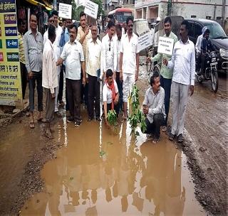 Khashadaya bashasham tree! | खड्डय़ात लावले बेशरमचे झाड! Khashadaya bashasham tree! | खड्डय़ात लावले बेशरमचे झाड!