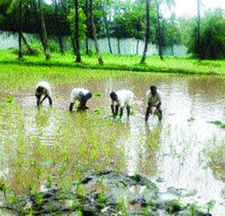 Peak loans to farmers! | शेतकऱ्यांना पीक कर्ज !